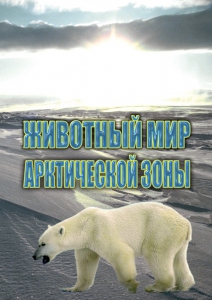 DVD "Животный мир Арктической зоны" - fgospostavki.ru - Казань