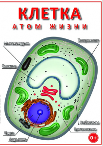 DVD "Клетка - "атом жизни" - fgospostavki.ru - Казань