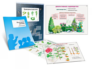 Комплект кодотранспарантов "Культурные растения" - fgospostavki.ru - Казань
