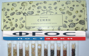 Коллекция "Семена к гербарию для начальной школы" (11 видов) - fgospostavki.ru - Казань