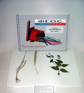Гербарий "Кормовые растения" (20 видов) - fgospostavki.ru - Казань