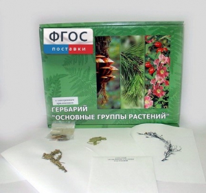 Гербарий "Основные группы растений" (52 листа) - fgospostavki.ru - Казань