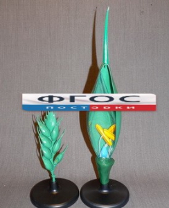 Модель "Цветок пшеницы" - fgospostavki.ru - Казань