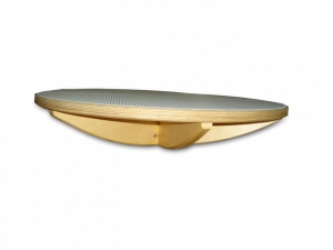 Балансир детский (круг) - fgospostavki.ru - Казань