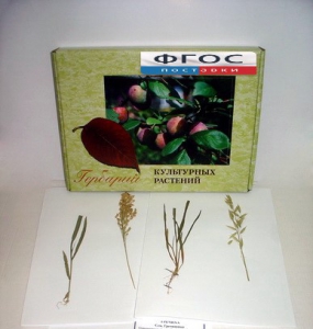 Гербарий "Культурные растения" (28 видов) - fgospostavki.ru - Казань
