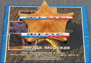 Сухой препарат "Звезда морская" - fgospostavki.ru - Казань
