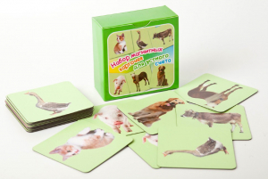 Набор магнитных карточек "Устный счет" (фон зеленый) - fgospostavki.ru - Казань