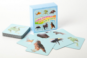 Набор магнитных карточек "Устный счет" (фон голубой) - fgospostavki.ru - Казань