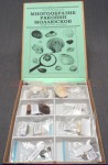 Коллекция "Многообразие раковин моллюсков" - fgospostavki.ru - Казань
