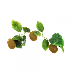 Ветка муляжей "Киви" - fgospostavki.ru - Казань