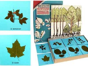 Гербарий "Растительные сообщества" - fgospostavki.ru - Казань