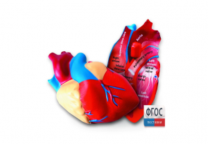 Модель сердца человека (анатомическая) - fgospostavki.ru - Казань