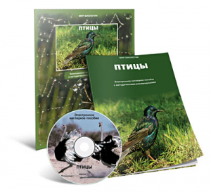 Электронное наглядное пособие «Птицы» - fgospostavki.ru - Казань