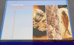 Коллекция "Палеонтологическая" (16 образцов) - fgospostavki.ru - Казань