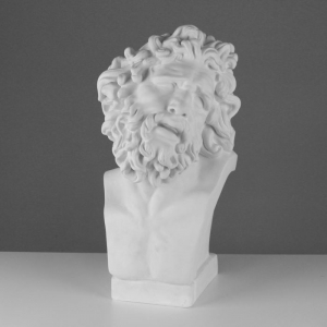 Бюст Лаокоона (гипс) - fgospostavki.ru - Казань