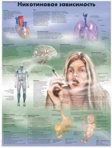 Плакат "Никотиновая зависимость" ламинированный - fgospostavki.ru - Казань