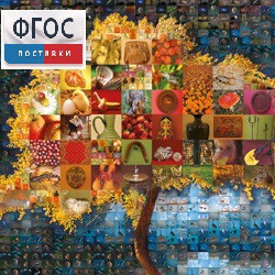 Начальная школа. Иностранный язык. (Цифровая база изображений) - fgospostavki.ru - Казань