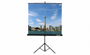 Проекционный экран на штативе Lumien Eco View (LEV-100105) 160x160 см - fgospostavki.ru - Казань