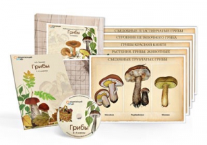 Комбинированное наглядное пособие  «Грибы» - fgospostavki.ru - Казань