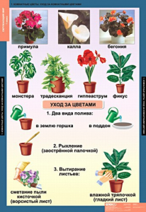 Комплект таблиц. Окружающий мир 1 класс. - fgospostavki.ru - Казань