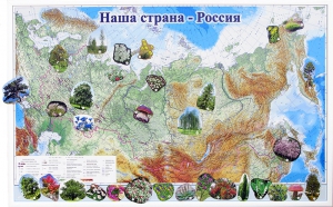 Магнитные карточки "Растения" - fgospostavki.ru - Казань