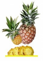 Комплект карточек "Запоминай, играй, считай" - Фрукты - fgospostavki.ru - Казань