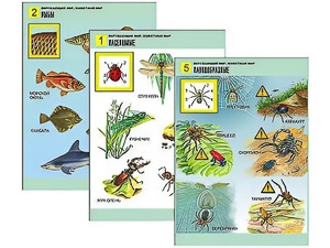 Комплект таблиц "Окружающий мир. Животный мир" (8 таблиц, А1, ламинированные) - fgospostavki.ru - Казань
