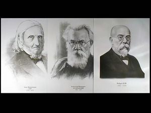 Портреты биологов (26 штук, формат А3) - fgospostavki.ru - Казань