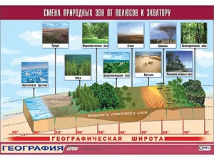 Таблица демонстрационная "Смена природных зон от полюсов к экватору" (винил 70*100) - fgospostavki.ru - Казань