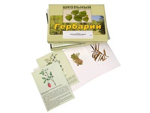 Гербарий "Для начальной школы" (30 видов, с иллюстрациями) - fgospostavki.ru - Казань