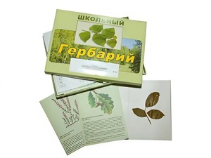 Гербарий "Дикорастущие растения" (30 видов, с иллюстрациями) - fgospostavki.ru - Казань