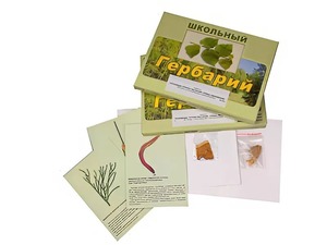 Гербарий "Основные группы растений. Грибы. Лишайники" (53 листа, с иллюстрациями и фотографиями) - fgospostavki.ru - Казань