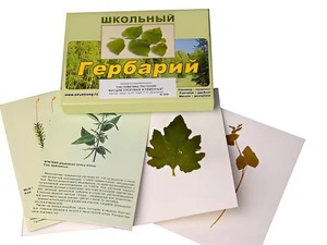 Гербарий "Систематика растений. Высшие споровые и семенные" (раздаточный) - fgospostavki.ru - Казань