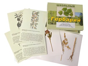Гербарий "Систематика растений. Семейство Бобовые. Злаки" (раздаточный) - fgospostavki.ru - Казань