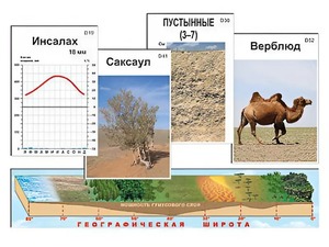 Модель-аппликация "Природные зоны" - fgospostavki.ru - Казань