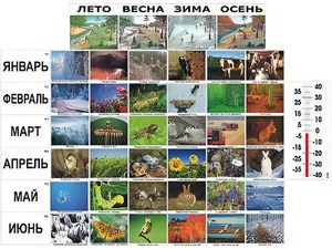 Фенологические наблюдения - fgospostavki.ru - Казань