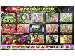 Комплект оборудования "Живой уголок" (растения) с тифлопереводом и сурдокомментариями - fgospostavki.ru - Казань