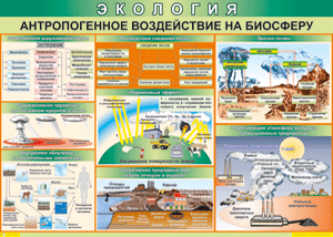 Таблица "Антропогенное воздействие на биосферу" (100х140 сантиметров, винил) - fgospostavki.ru - Казань