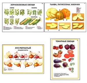 Плакаты ПРОФТЕХ "Ассортимент овощных культур" (12 пл, винил, 70х100) - fgospostavki.ru - Казань