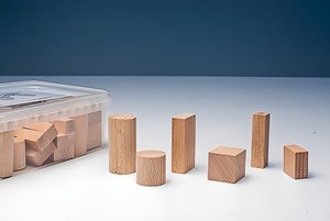 Игровой набор Фребеля "Конструктор" (50 элементов, бук, серия "Красота вокруг нас") - fgospostavki.ru - Казань