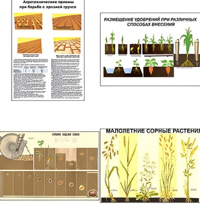 Плакаты ПРОФТЕХ "Агрономия" (5 пл, винил, 70х100) - fgospostavki.ru - Казань