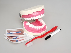 Игровой комплект "Чистим зубы" - fgospostavki.ru - Казань