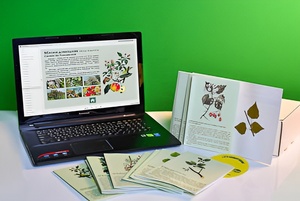 Гербарий натурально-интерактивный "Деревья и кустарники" - fgospostavki.ru - Казань