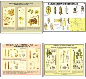 Плакаты ПРОФТЕХ "Вредители и болезни с/х культур и меры борьбы с ними" (11 пл, винил, 70х100) - fgospostavki.ru - Казань