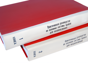 Практическое руководство по освоению системы Брайля для поздноослепших в 2-х книгах - fgospostavki.ru - Казань