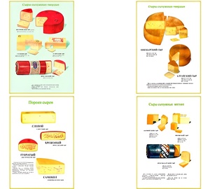 Плакаты ПРОФТЕХ "Ассортимент сыров" (9 пл, винил, 70х100) - fgospostavki.ru - Казань
