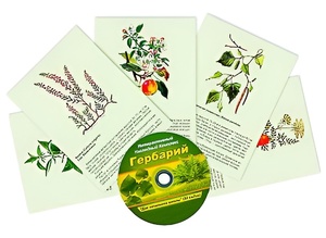 Интерактивный наглядный комплекс "Гербарий "Для начальной школы" - fgospostavki.ru - Казань