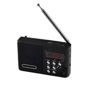 Радиоприемник цифровой с крупными кнопками - fgospostavki.ru - Казань