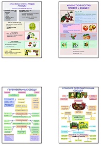 Плакаты ПРОФТЕХ "Классификация овощей и переработка" (8 пл, винил, 70х100) - fgospostavki.ru - Казань