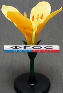 Модель "Цветок капусты" - fgospostavki.ru - Казань